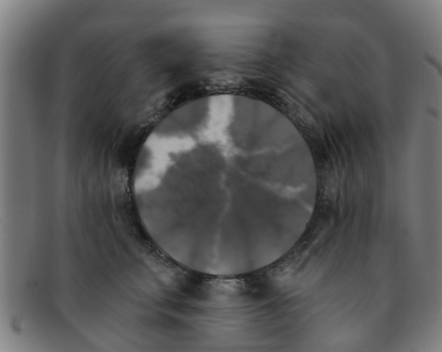 X0000091350711200708311516