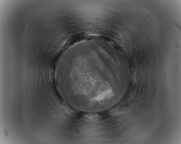 X0000091350712200708311516