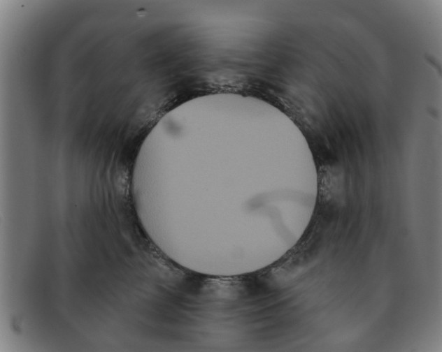 X0000091350713200708311516