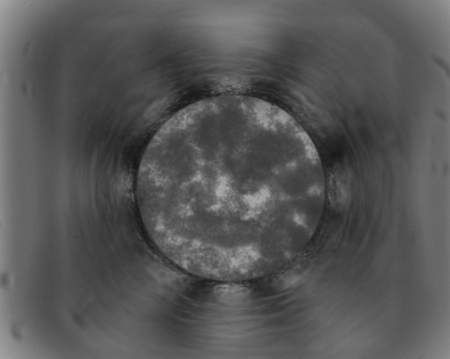 X0000091350714200708311516