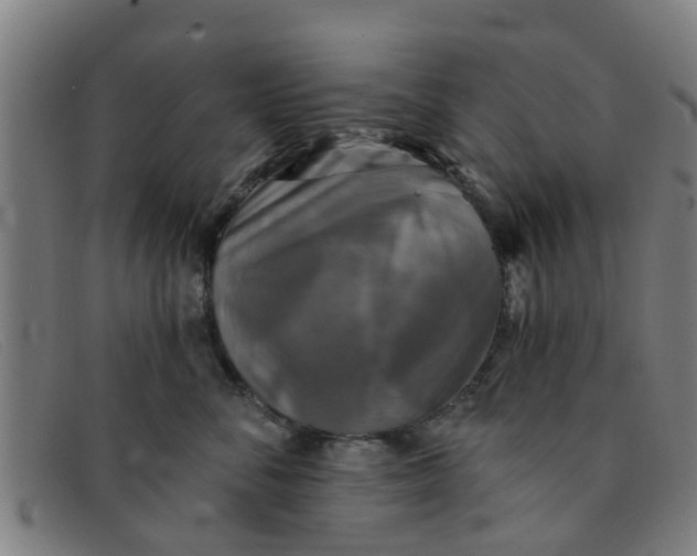 X0000091350716200708311516