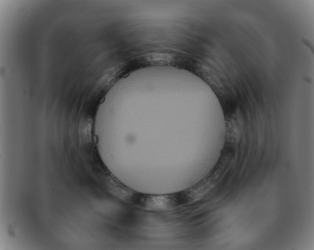 X0000091350717200708311516