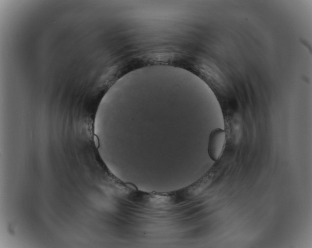 X0000091350718200708311516