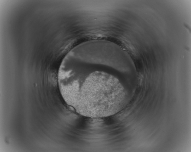 X0000091350719200708311516