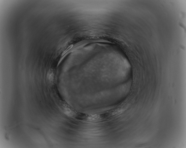 X0000091350720200708311516