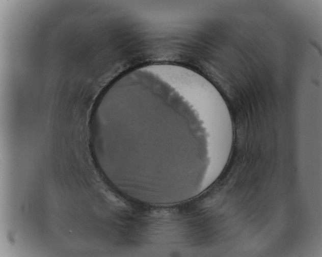 X0000091350721200708311515