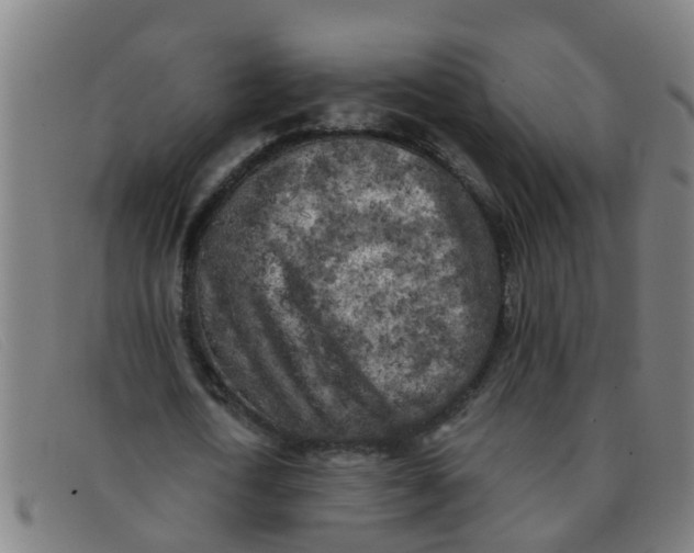X0000091350722200708311515