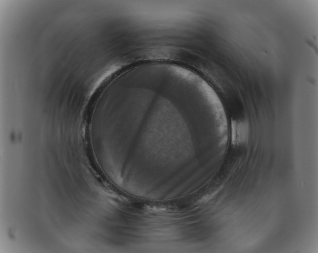 X0000091350723200708311515