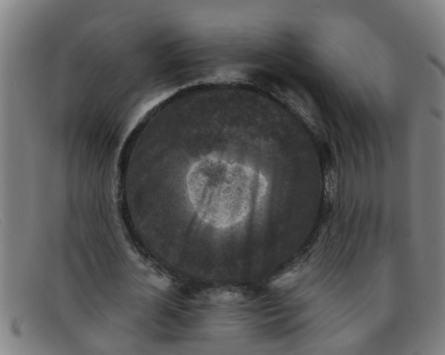 X0000091350724200708311515