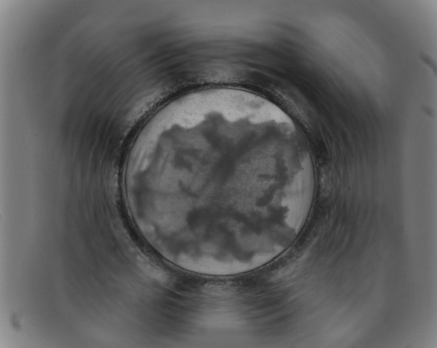 X0000091350725200708311515