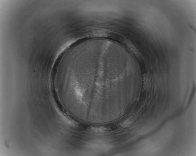 X0000091350726200708311515