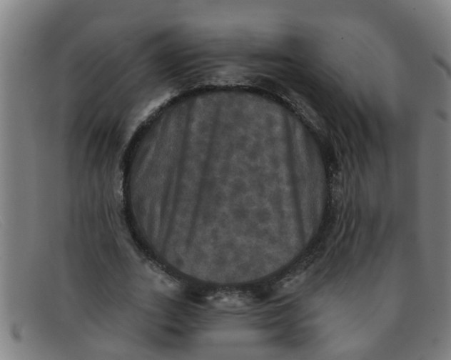 X0000091350727200708311515