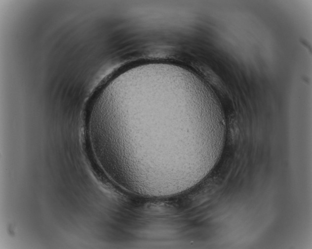 X0000091350728200708311515