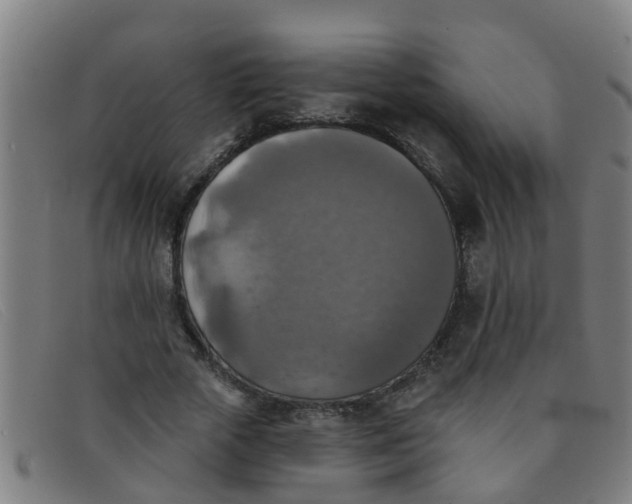 X0000091350729200708311515