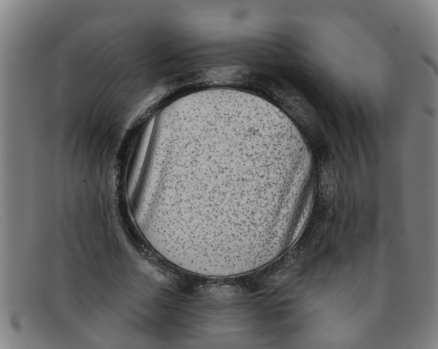 X0000091350730200708311515