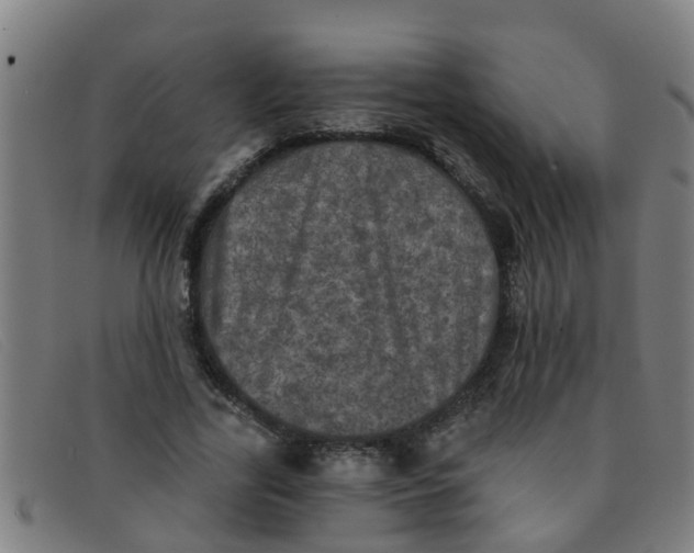 X0000091350731200708311515