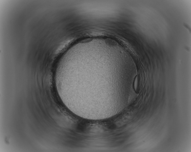 X0000091350732200708311515