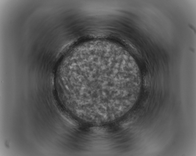 X0000091350733200708311515