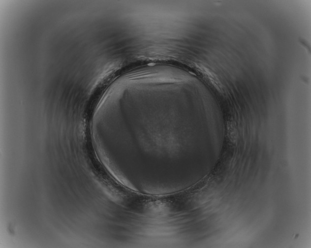 X0000091350735200708311516