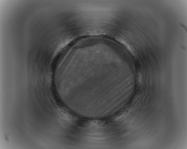 X0000091350736200708311516