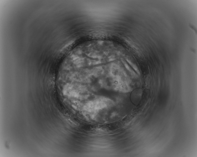 X0000091350737200708311516