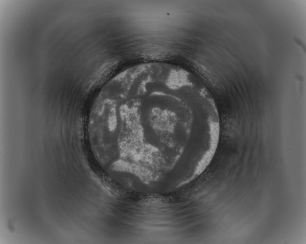 X0000091350738200708311516