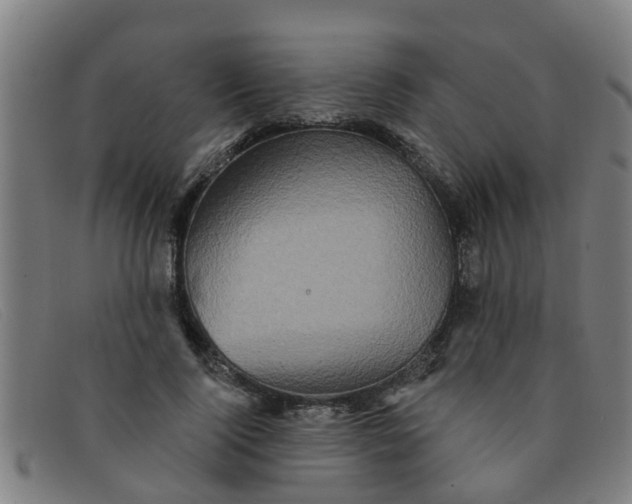 X0000091350740200708311516
