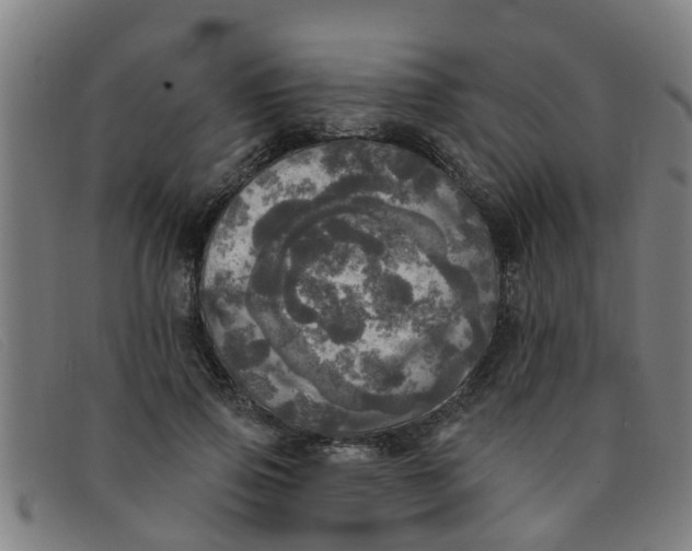 X0000091350741200708311516