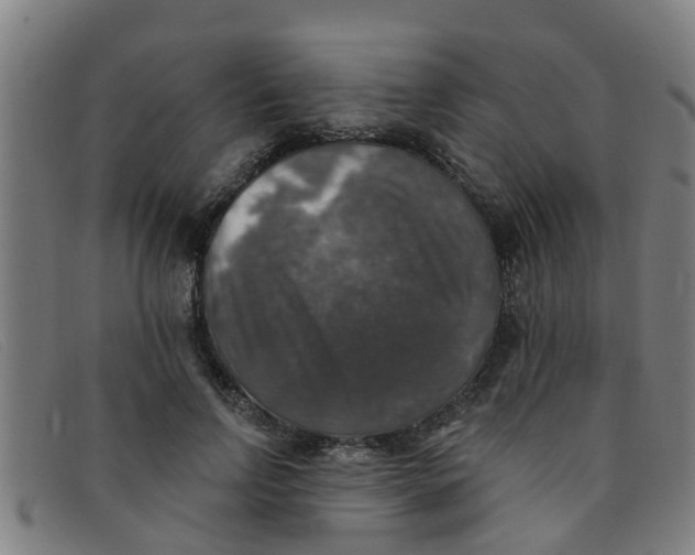 X0000091350742200708311516
