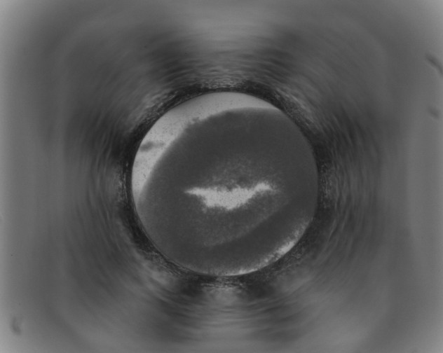 X0000091350743200708311516