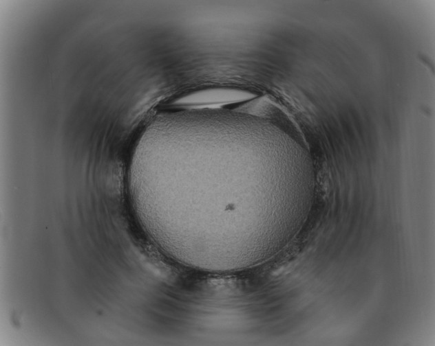X0000091350744200708311516