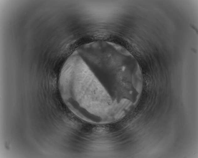 X0000091350745200708311516
