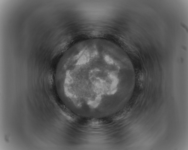 X0000091350746200708311516