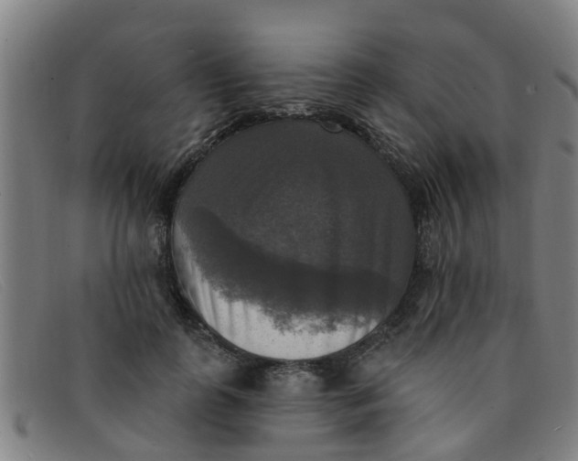 X0000091350747200708311516