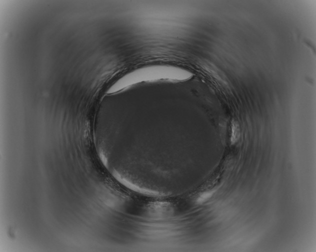 X0000091350748200708311516