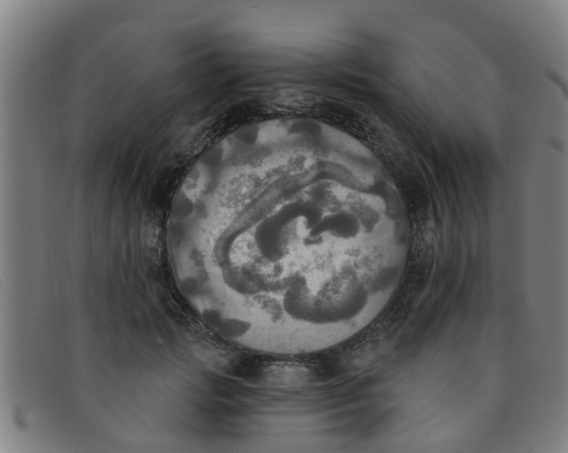 X0000091350749200708311516