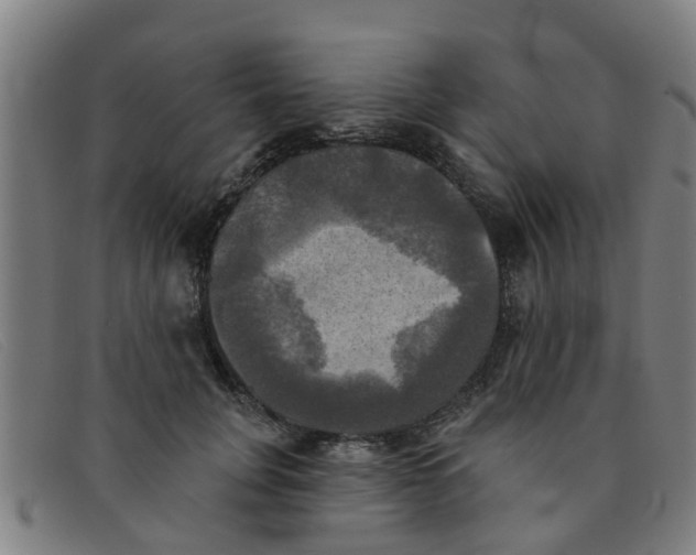 X0000091350751200708311516
