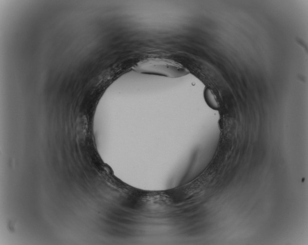 X0000091350752200708311516