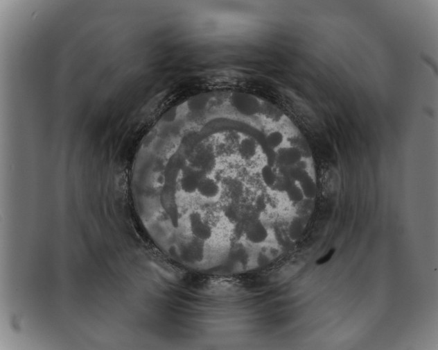 X0000091350753200708311516