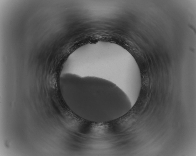 X0000091350754200708311516