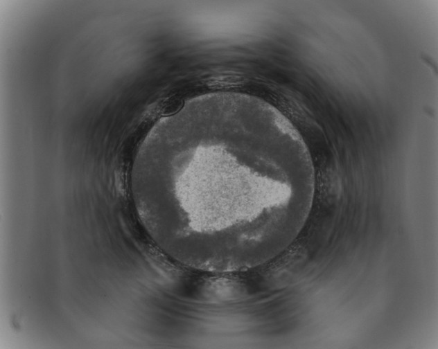 X0000091350755200708311516
