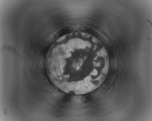 X0000091350757200708311516