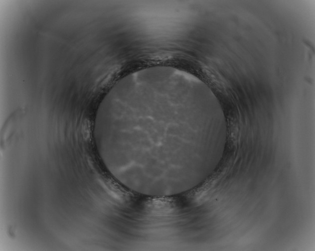 X0000091350758200708311516