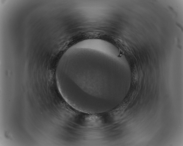 X0000091350759200708311516