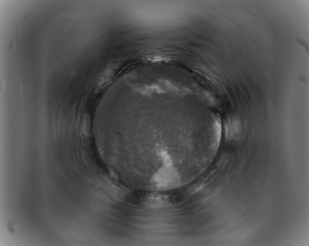 X0000091350760200708311516