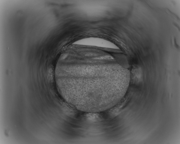 X0000091350762200708311516