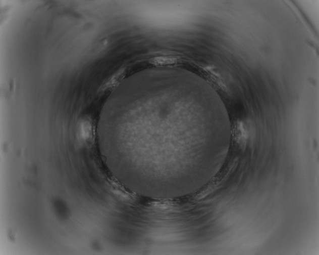 X0000091350763200708311516