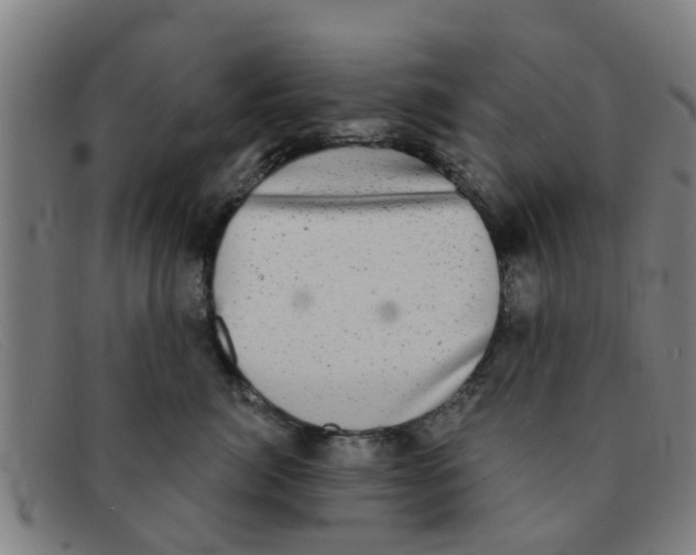 X0000091350764200708311516