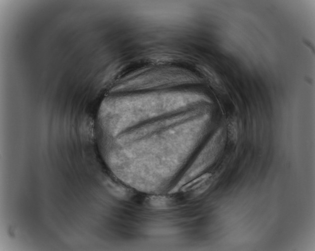 X0000091350766200708311516