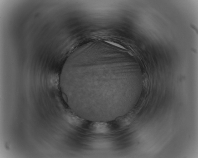 X0000091350767200708311516